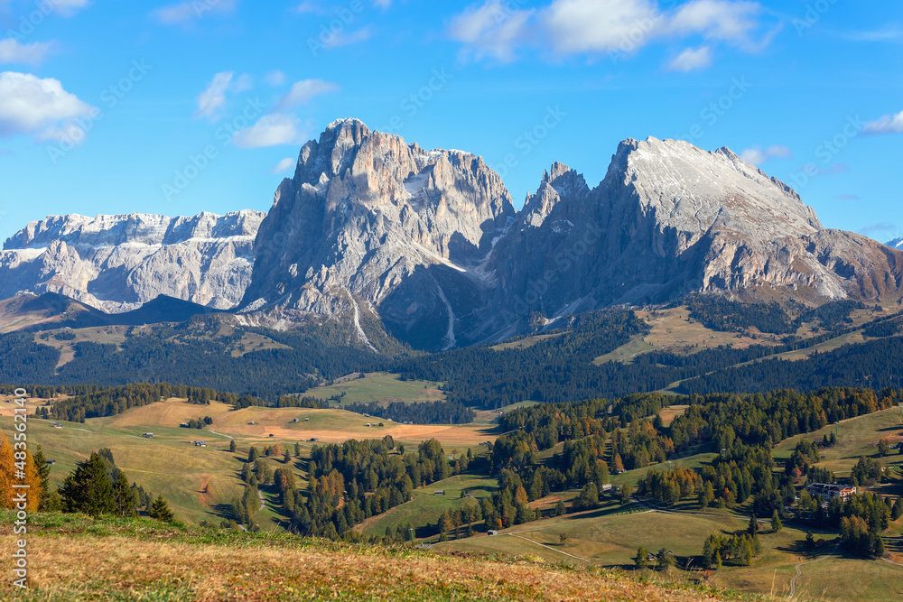 Autumn in Seiser Alm (Alpe di Siusi). View of Sassolungo and Sassopiatto mountains