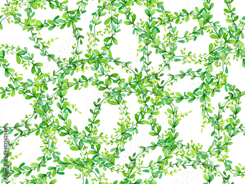 Seamless floral background  green leaves branches  isolated on white.  Watercolor hand drawn illustration.