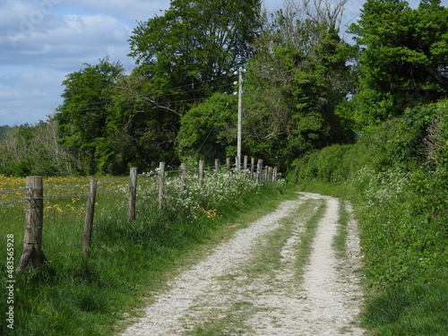 Footpath in the countryside by the field