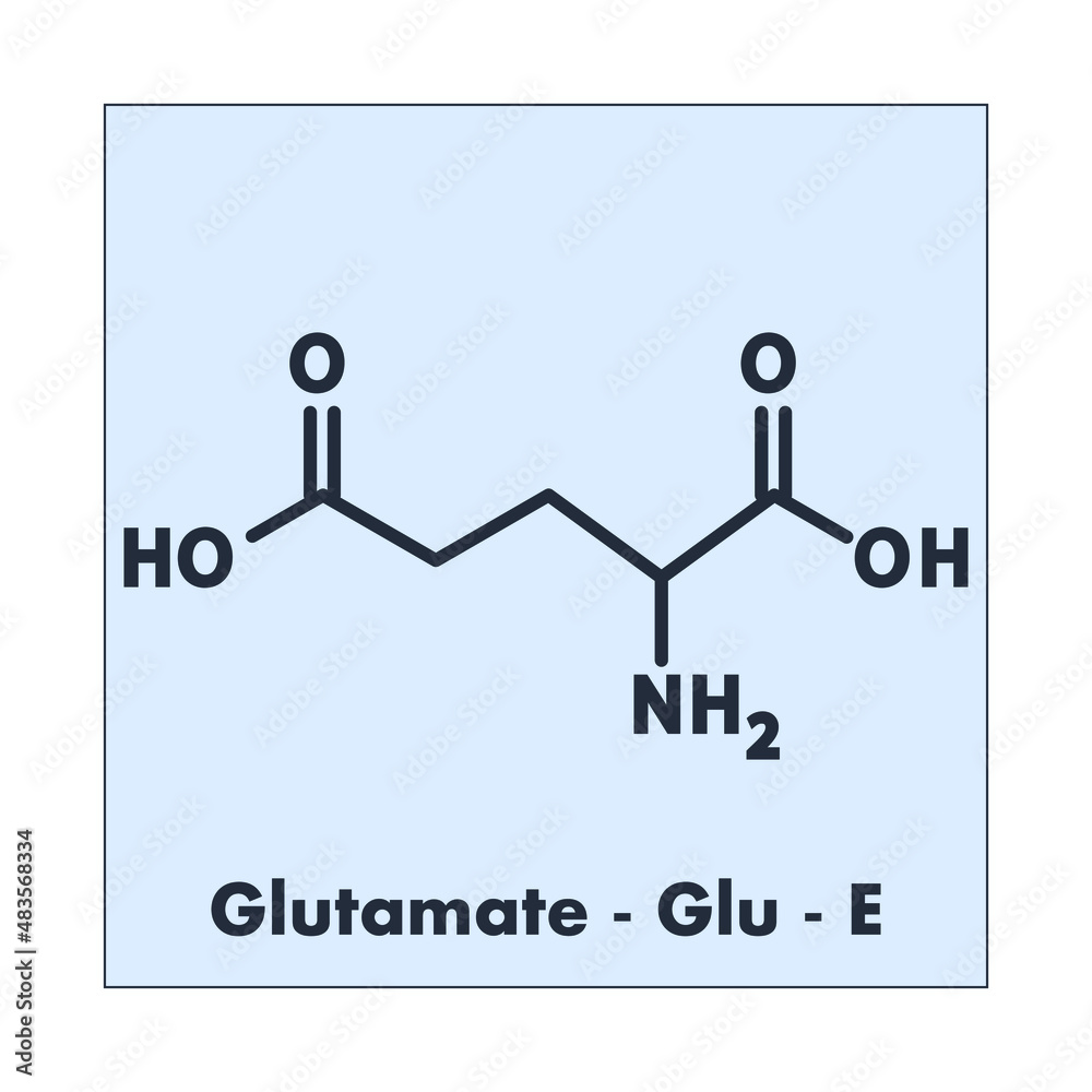 Glutamic acid - Glu - E - Non Essential Amino Acid molecular formula ...