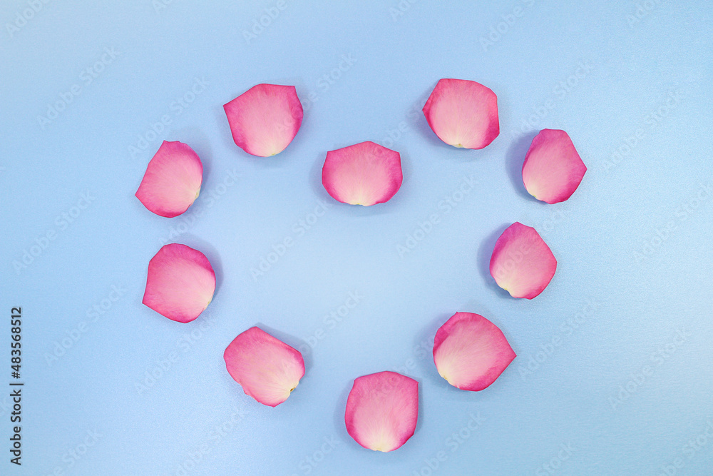 Fototapeta premium Heart shape from roses on blue background. Holiday, Valentine's, International Women's day. Copy space