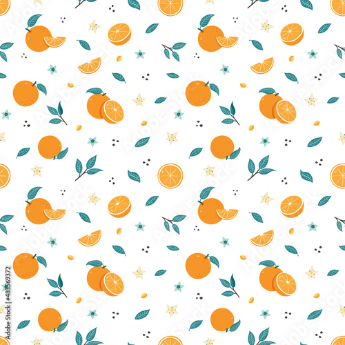 Orange Fruit Seamless Pattern. Hand Drawn Citrus background for wallpaper, wrapping paper, textile, menu, food package design and decoration