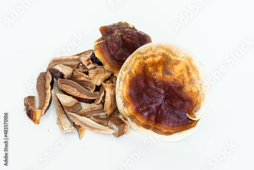 Dried Ganoderma Lucidum Mushroom isolated on white background. Ling Zhi Mushroom 