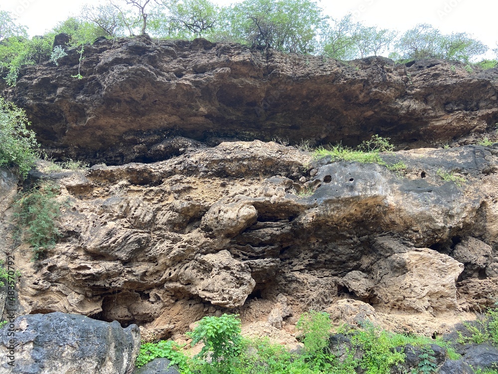 Obraz premium river bank