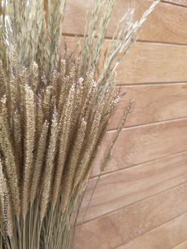 Dry grass and wooden wall