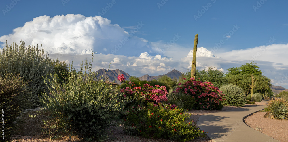 Monsoon clouds and urban desert landscape in Scottsdale, Arizona