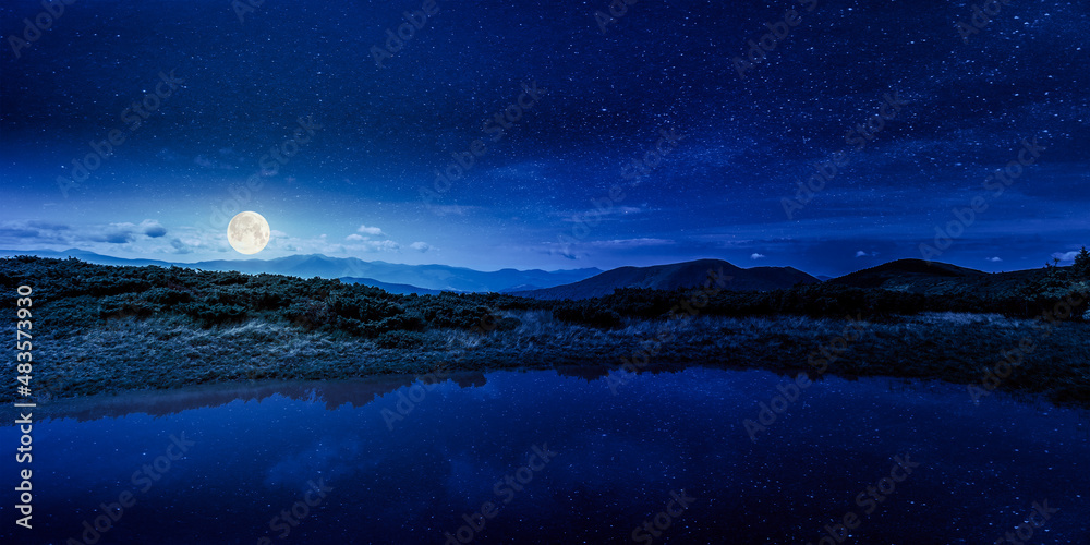 landscape with lake in summer at night. peaceful reflection in the water. beautiful travel view. tranquil nature background in full moon light. green outdoor scenery