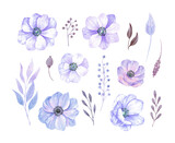 Anemone flowers watercolor set. Graphic elements for wedding invitations, greeting cards and other designs. Trendy very peri color of pantone 2022