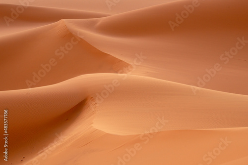 Sahara sand dunes  Algeria  Mounlaga
