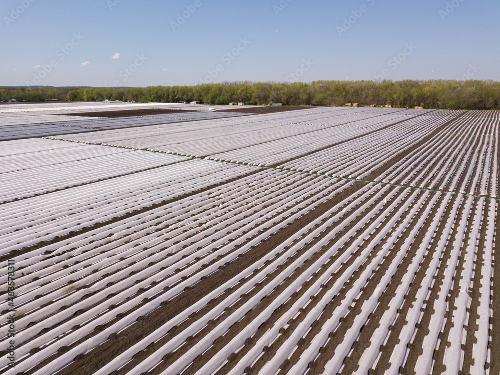 Drip Irrigation greenhouse Systems In An Agricultural Field Image. Aerial drone shot. Russia.