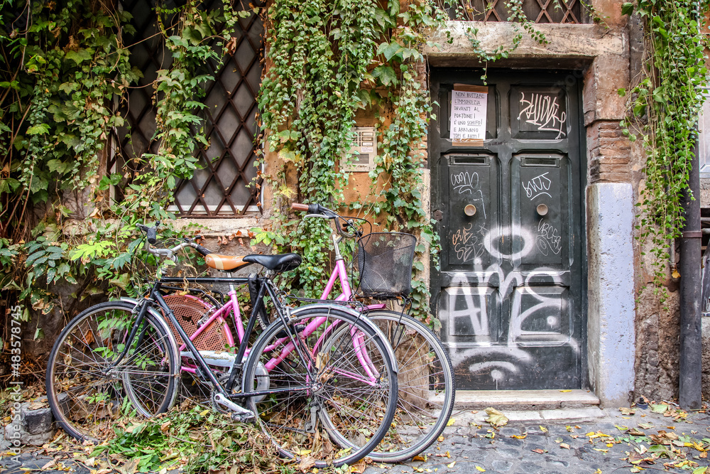 Bicycles in a typical Italian courtyard overgrown with greenery