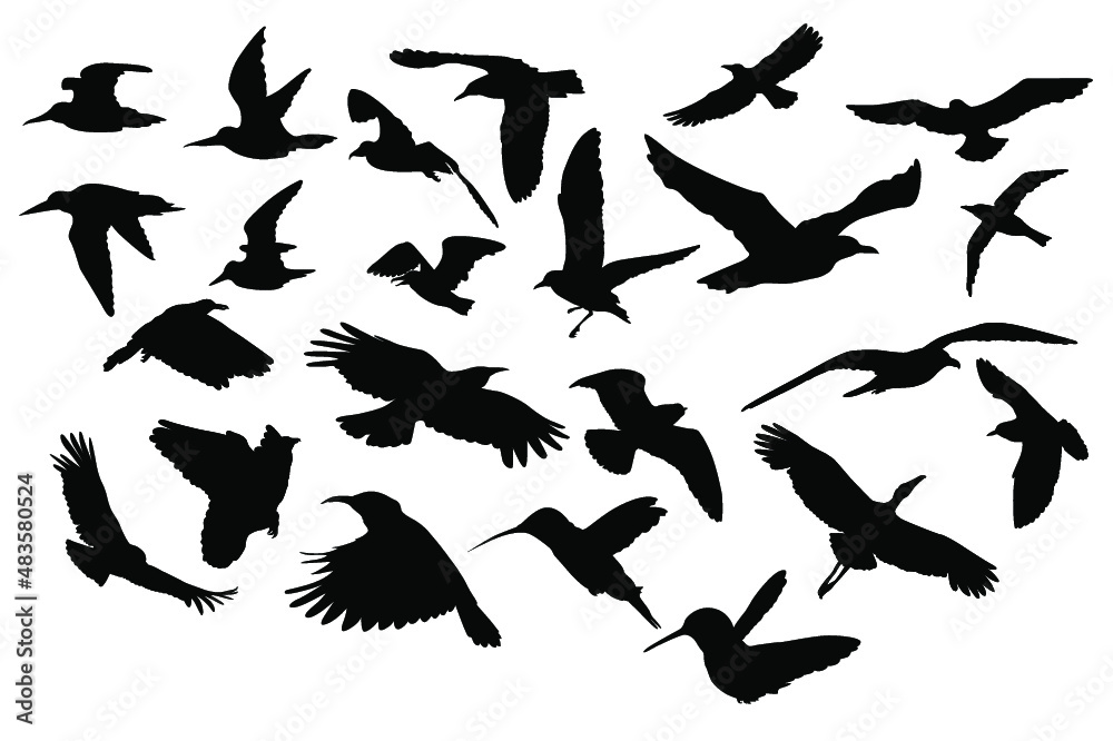 set of silhouettes of Flying birds set of silhouettes of Flying birds