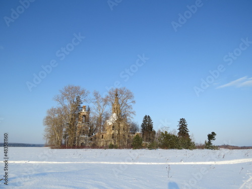 snow covered trees
