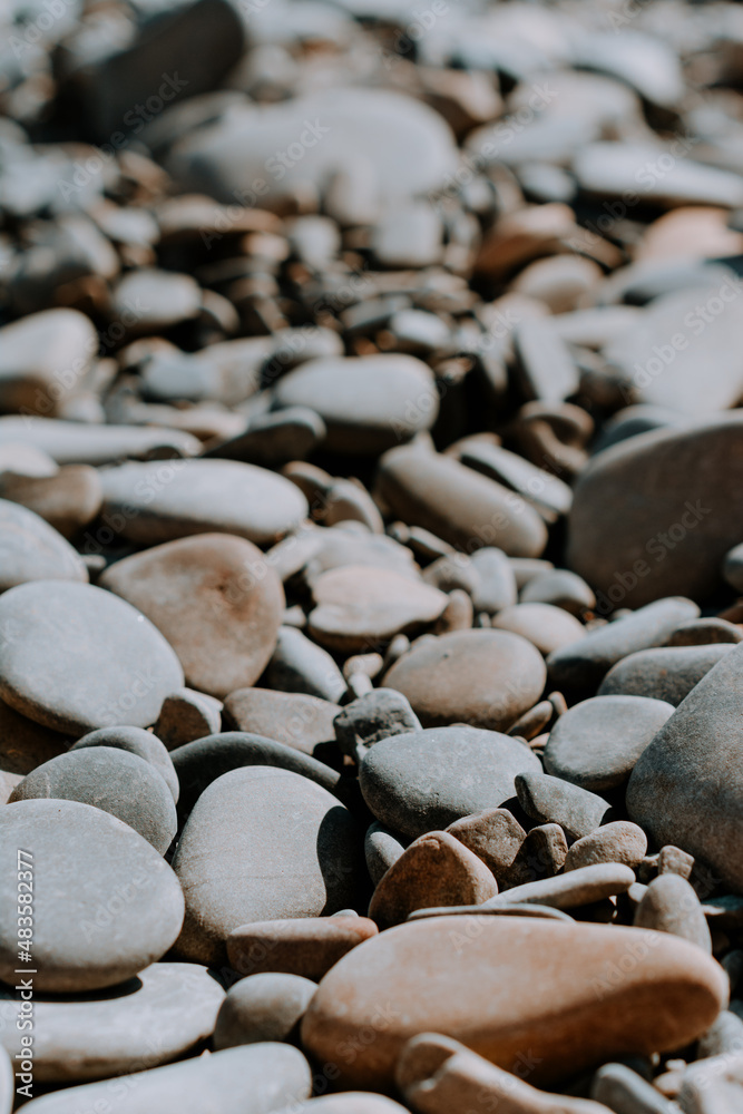 sea pebbles close-up in sunlight. Close-up of multicolored pebbles on the sea beach in the sunlight sea pebbles close-up in sunlight. Close-up of multicolored pebbles on the sea beach in the sunlight