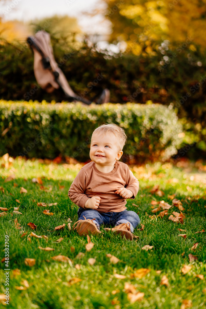 a cute little blonde boy in a brown sweater on a green lawn with autumn leaves. a cute little blonde boy in a brown sweater on a green lawn with autumn leaves.