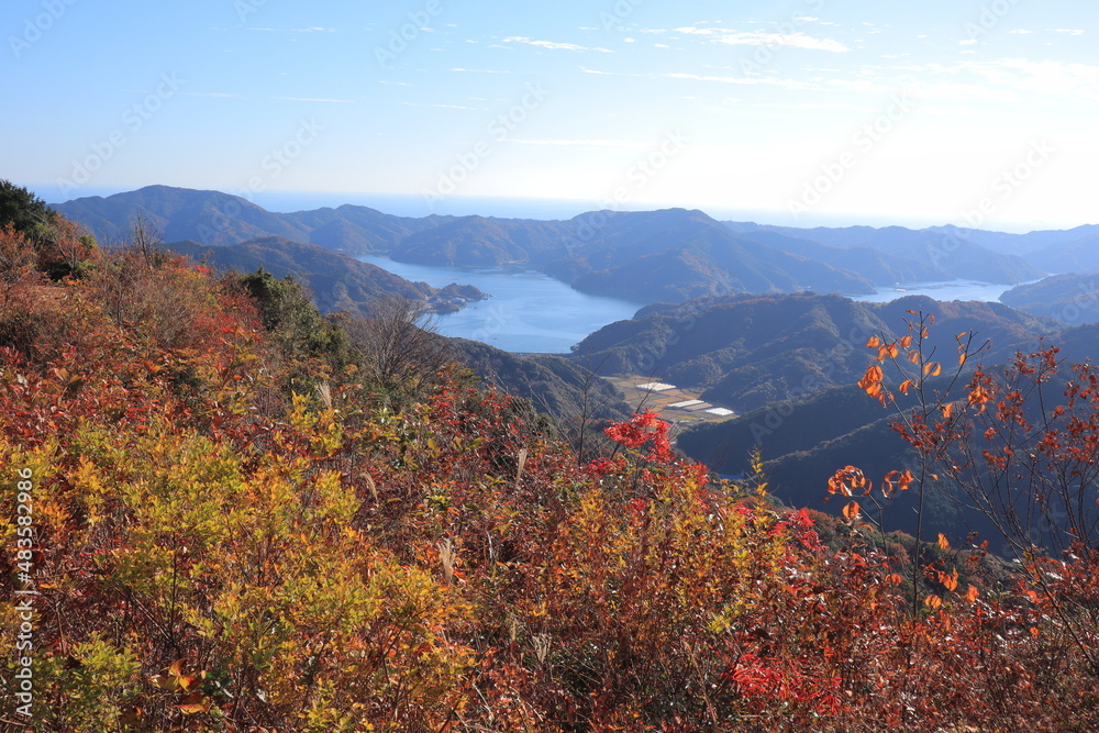 秋の風景