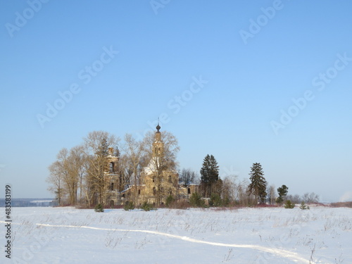 snow covered trees