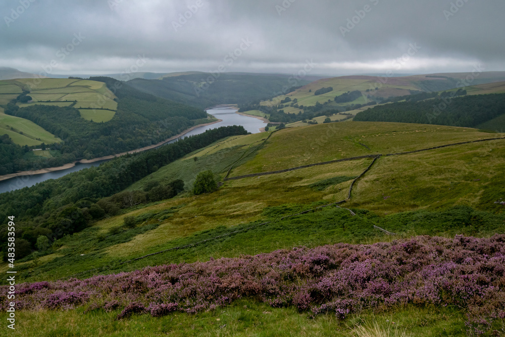 Vast landscape of Peak District hills covered with clouds and fog, green natural view of hill with heather patches and rocks. Moody landmark of british hillside, river and farmlands.
