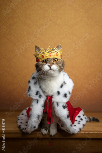 Fotografija cute cat wearing king costume and crown looking majestic and royal with copy spa