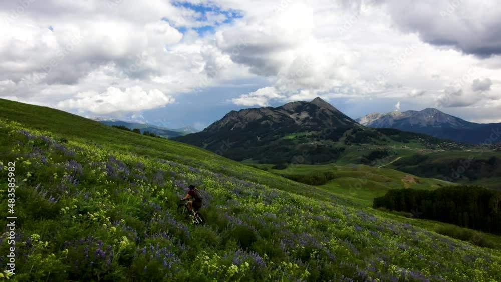Female MTB rider on mountain slope surrounded by wildflowers; aerial Female MTB rider on mountain slope surrounded by wildflowers; aerial