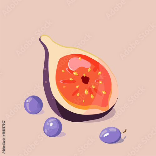 Vector illustration of figs with grape berries on a neutral background