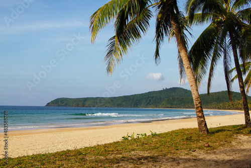 Fototapeta Naklejka Na Ścianę i Meble -  Palm trees on the seashore. Seascape. The tropics. Coconut palms. Sea and sand. Philippines.