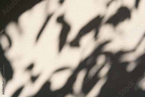 Wall light with shadows, shadow on white wall background texture.