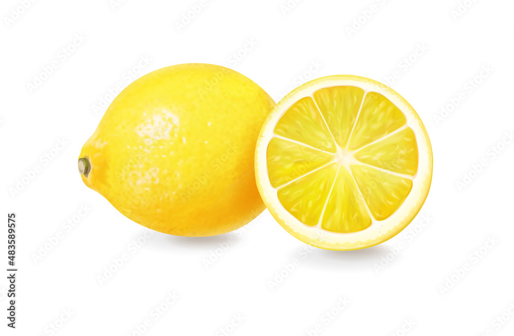 Lemon. Fresh citrus fruit 3d realistic vector icon illustration