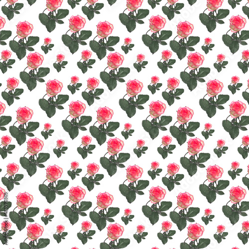 Roses and leaves pattern background. Floral pattern.