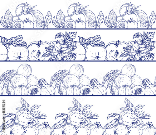 Collection of vector horizontal seamless borders with hand darwn fruits. Eps 10 fruits backdrop.  Line-art botanical illustration
