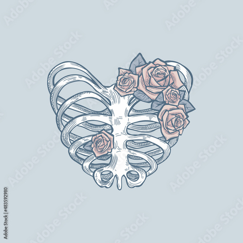 Skeleton heart with roses, vector illustration