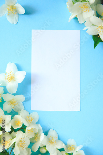 Tender jasmine flowers on blue background. Jasmine (Other names are Jasminum, Melati, Jessamine, Oleaceae) flowers. Space for text. photo