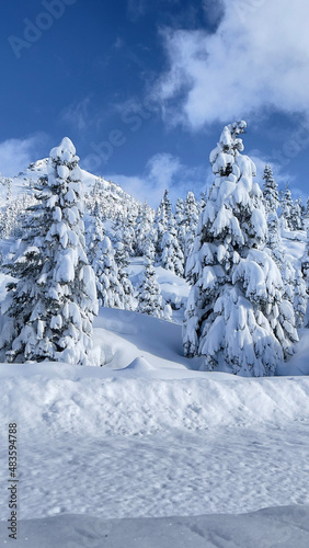 Fascinating winter landscapes in the mountains, nature, tranquility, scenery and picturesque images