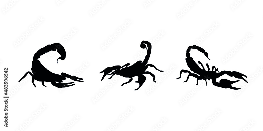 Vector silhouette of scorpions, vector illustration of insects.
