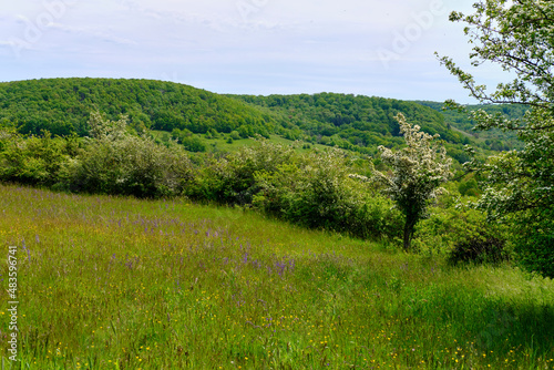Landschaft im Naturschutzgebiet Hohe Wann zwischen Zeil am Main und Krum, Landkreis Hassberge, Unterfranken, Franken, Bayern, Deutschland