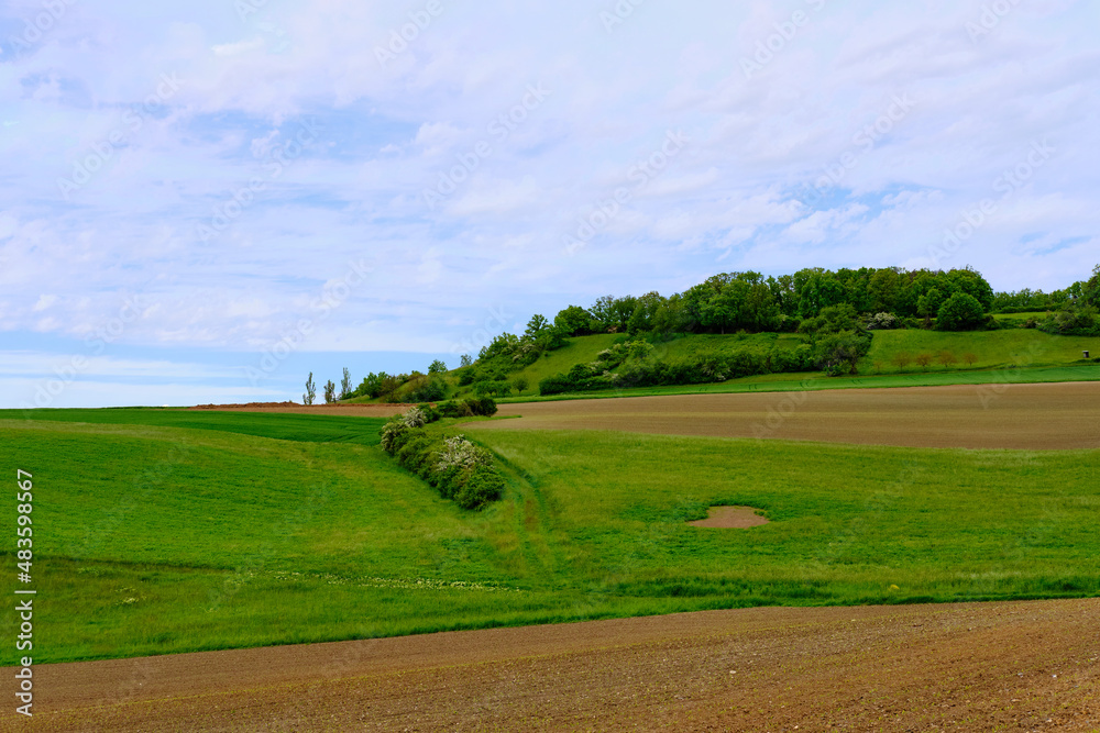 Naklejka premium Landschaft im Naturschutzgebiet Hohe Wann zwischen Zeil am Main und Krum, Landkreis Hassberge, Unterfranken, Franken, Bayern, Deutschland
