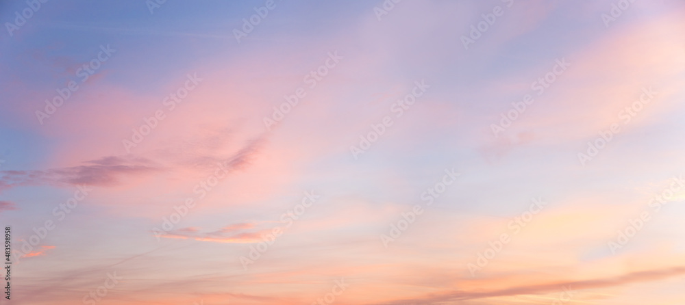 light blue and pink pastel colored panorama sky with clouds - obrazy, fototapety, plakaty 