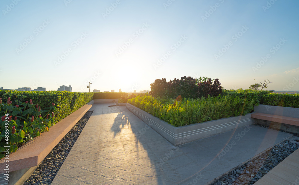 Fototapeta premium Sky garden on private rooftop of condominium or hotel, high rise architecture building with tree, grass field, and blue sky.