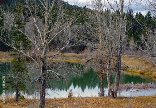 reflection