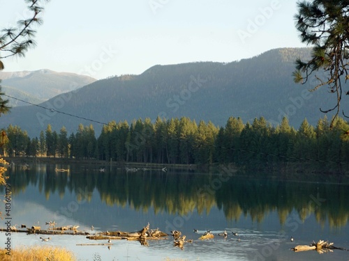 river reflection
