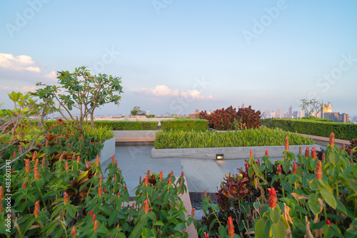 Sky garden on private rooftop of condominium or hotel, high rise architecture building with tree, grass field, and blue sky. photo