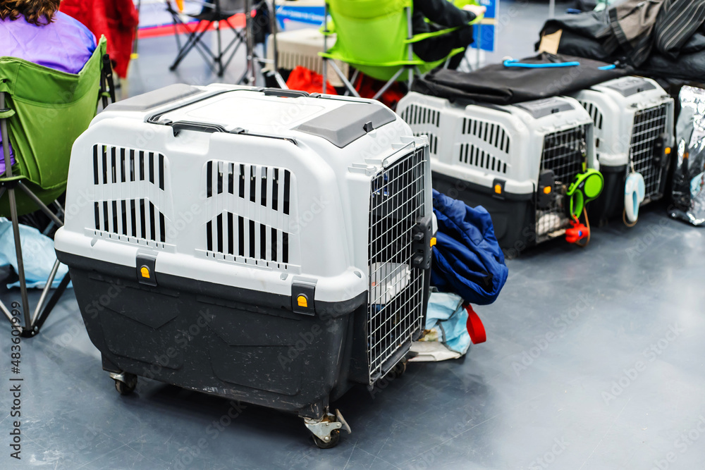 Curated visual reference: Fresh Look at Plastic Boxes For Transporting Animals Large Pet Carriers Are Located