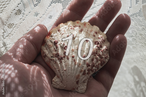 Shell held in the palm. Numerological significance - number 10 (ten). photo