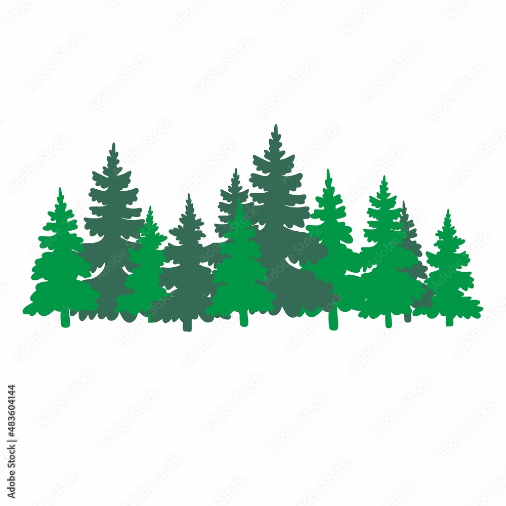 Silhouette of coniferous trees