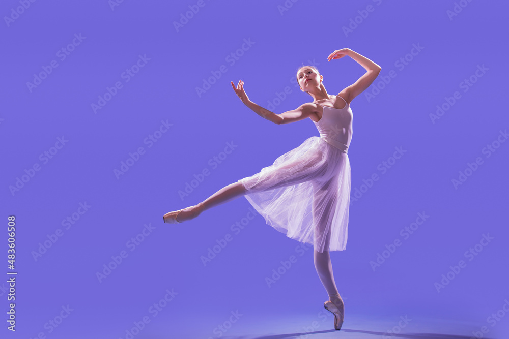 an elegant ballerina in pointe shoes is dancing in a long flying white skirt on a lilac light background an elegant ballerina in pointe shoes is dancing in a long flying white skirt on a lilac light background
