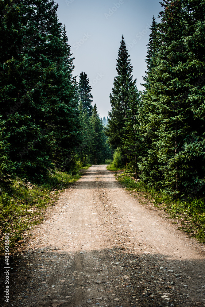 Fototapeta premium Dirt road through the mountains