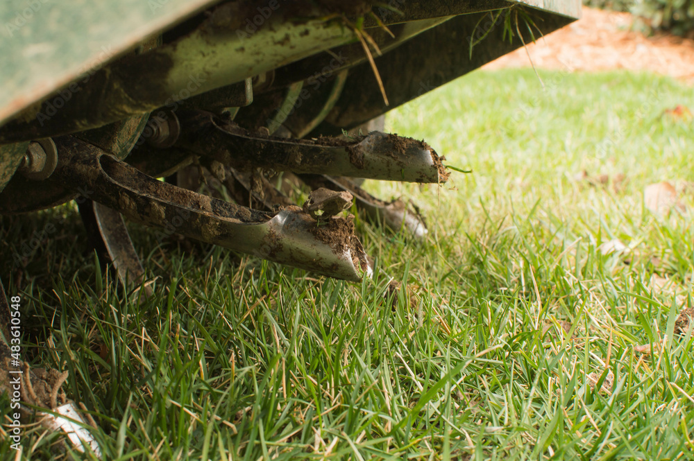 Aerator tines from lawn core aeration Aerator tines from lawn core aeration