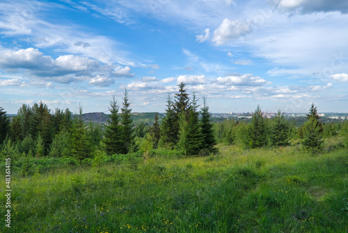 Summer landscape green meadow and forest in the background against the backdrop of a beautiful blue sky and white clouds.