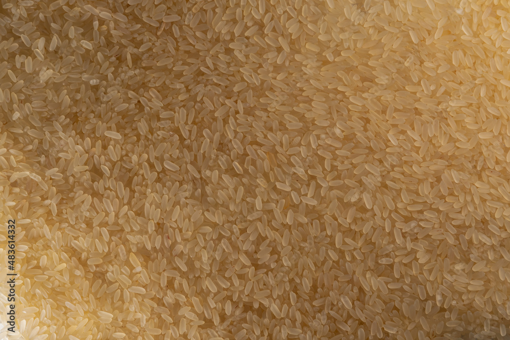 Rice grains are scattered evenly on the surface. Background of textured rice grains with good texture. Patterns of rice grains. Rice grains are scattered evenly on the surface. Background of textured rice grains with good texture. Patterns of rice grains.