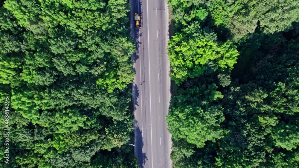 Aerial View Above Road in Forest Aerial View Above Road in Forest
